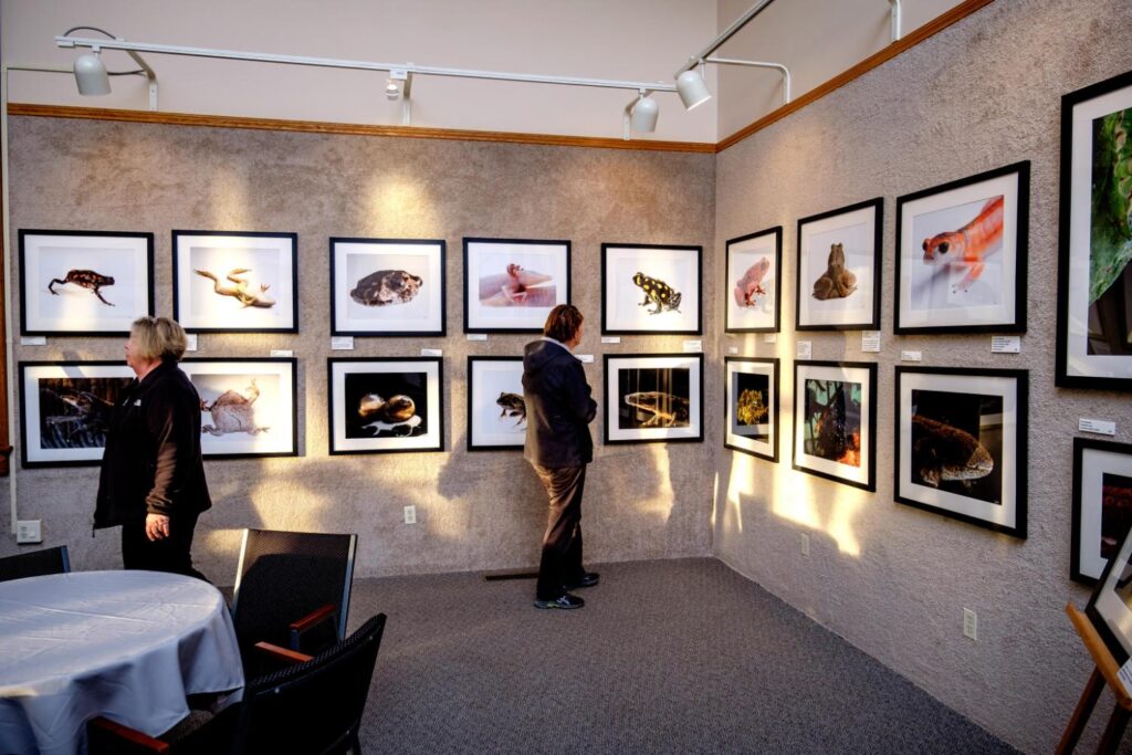 Lee Dam Center for Fine Art