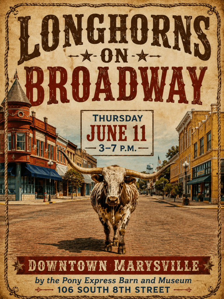 Longhorns on Broadway 2